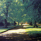 Password clue picture